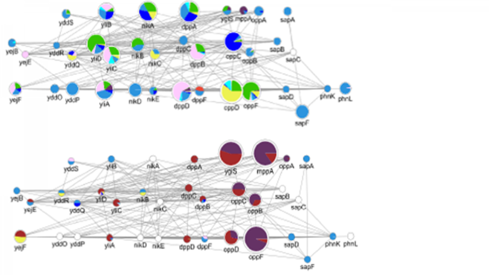 Transporters_microbiome